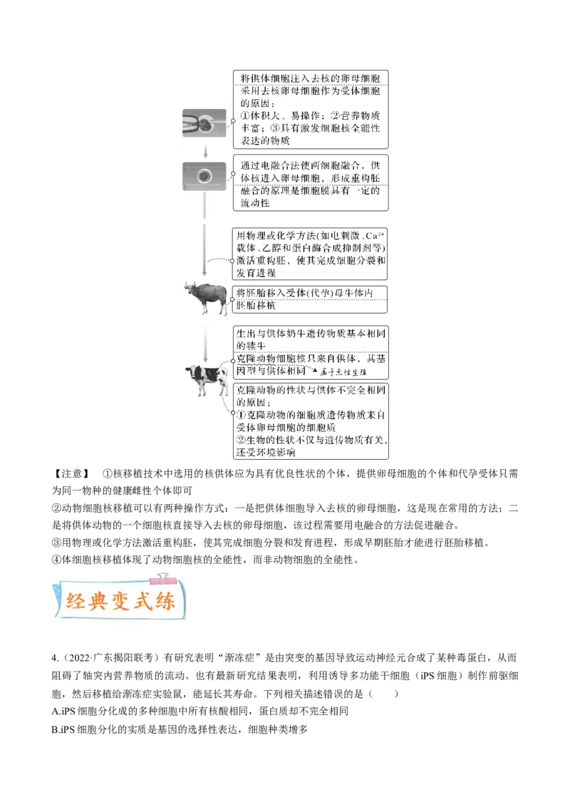 考向27细胞工程-备战2023年高考生物一轮复习考点微专题（全国通用）（原卷版）_通用版（老高考）复习资料_2023年复习资料_一轮复习_备战2023年高考生物一轮复习考点微专题（全国通用）