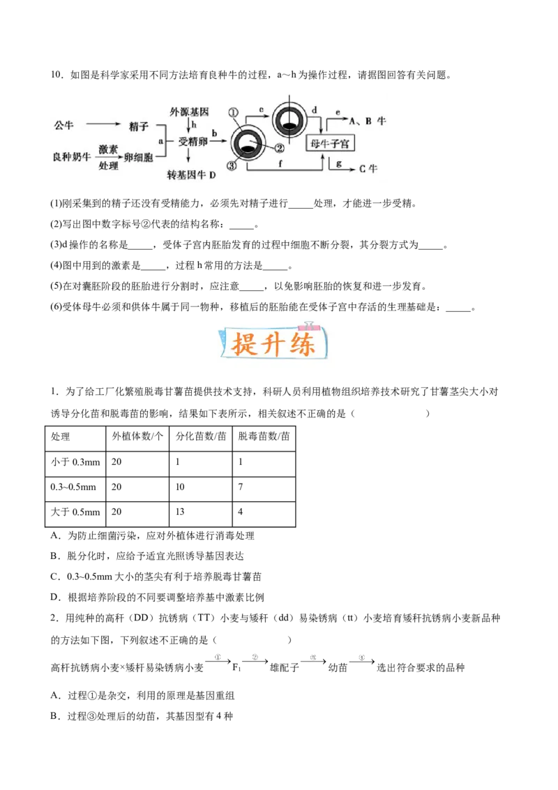 考向27细胞工程-备战2023年高考生物一轮复习考点微专题（全国通用）（原卷版）_通用版（老高考）复习资料_2023年复习资料_一轮复习_备战2023年高考生物一轮复习考点微专题（全国通用）