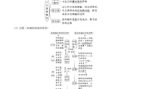 考向27细胞工程-备战2023年高考生物一轮复习考点微专题（全国通用）（原卷版）_通用版（老高考）复习资料_2023年复习资料_一轮复习_备战2023年高考生物一轮复习考点微专题（全国通用）