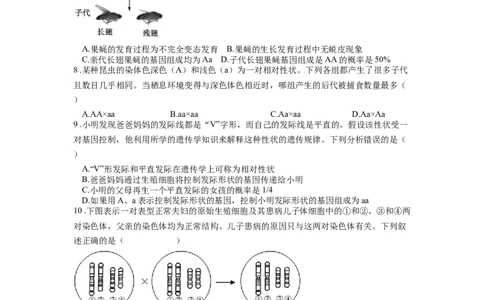 专题23生物的遗传和变异（原卷版）_6生物中考复习_2024年中考复习资料_一轮复习资料_完精准复习课件精讲ppt+习题精练备战2024年中考生物一轮复习全考点通关_配套练习
