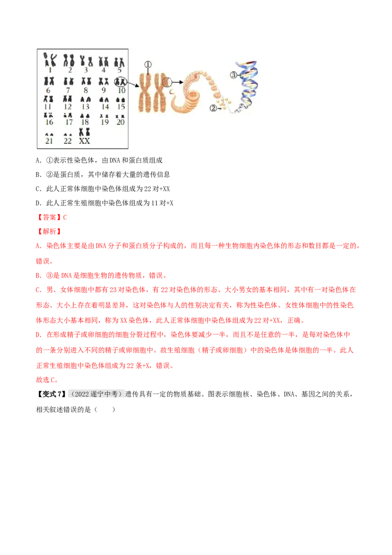 专题18生物的遗传和变异（解析版）_6生物中考复习_2023年中考复习资料_专项复习_2023年中考生物总复习真题探究与变式训练（全国通用）