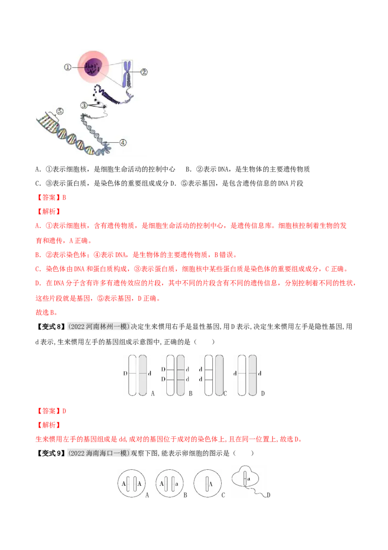 专题18生物的遗传和变异（解析版）_6生物中考复习_2023年中考复习资料_专项复习_2023年中考生物总复习真题探究与变式训练（全国通用）