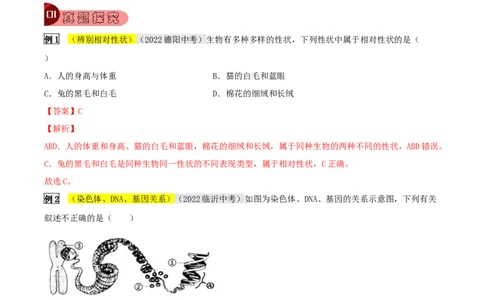 专题18生物的遗传和变异（解析版）_6生物中考复习_2023年中考复习资料_专项复习_2023年中考生物总复习真题探究与变式训练（全国通用）