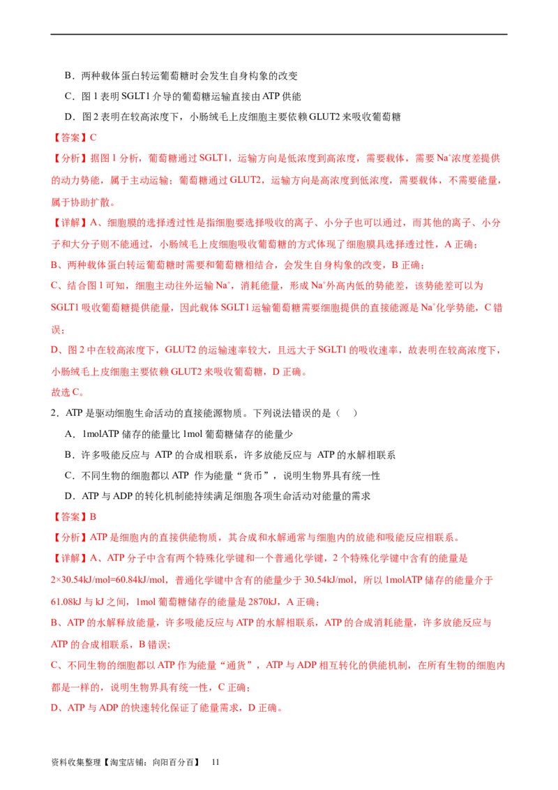 考点通关卷08酶和ATP（解析版）_新高考复习资料_2024年新高考复习资料_一轮复习资料_完2024年高考生物一轮复习考点通关卷（新高考）_考点通关卷08酶和ATP