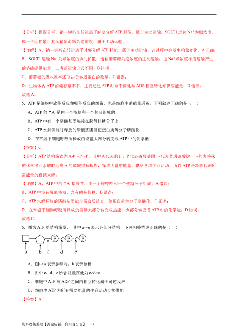考点通关卷08酶和ATP（解析版）_新高考复习资料_2024年新高考复习资料_一轮复习资料_完2024年高考生物一轮复习考点通关卷（新高考）_考点通关卷08酶和ATP