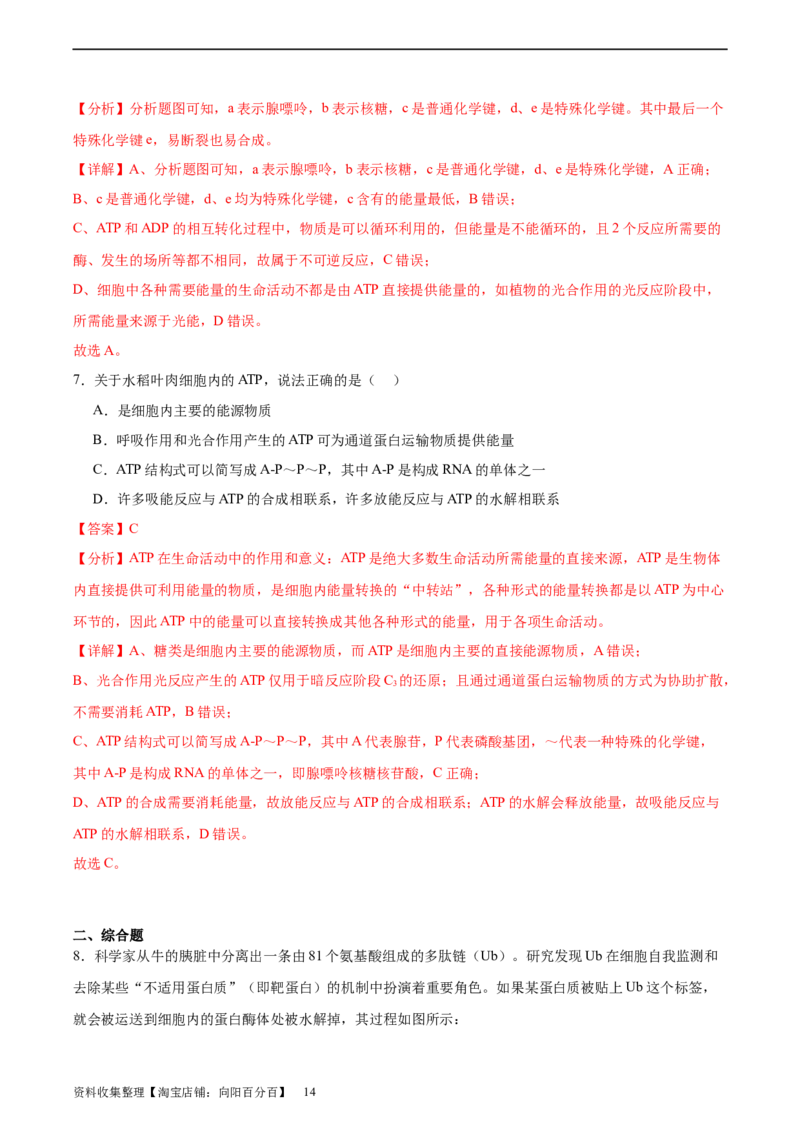 考点通关卷08酶和ATP（解析版）_新高考复习资料_2024年新高考复习资料_一轮复习资料_完2024年高考生物一轮复习考点通关卷（新高考）_考点通关卷08酶和ATP