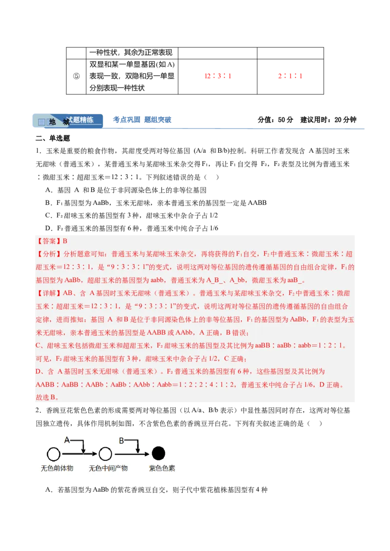 考点通关卷16基因的自由组合定律（解析版）_2025年新高考资料_一轮复习_2025年高考生物一轮复习考点通关卷（新高考通用）
