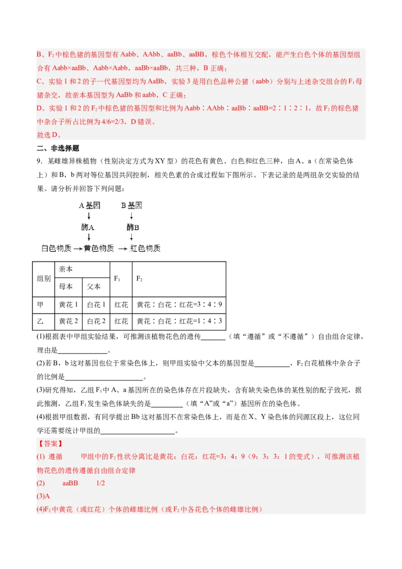 考点通关卷16基因的自由组合定律（解析版）_2025年新高考资料_一轮复习_2025年高考生物一轮复习考点通关卷（新高考通用）
