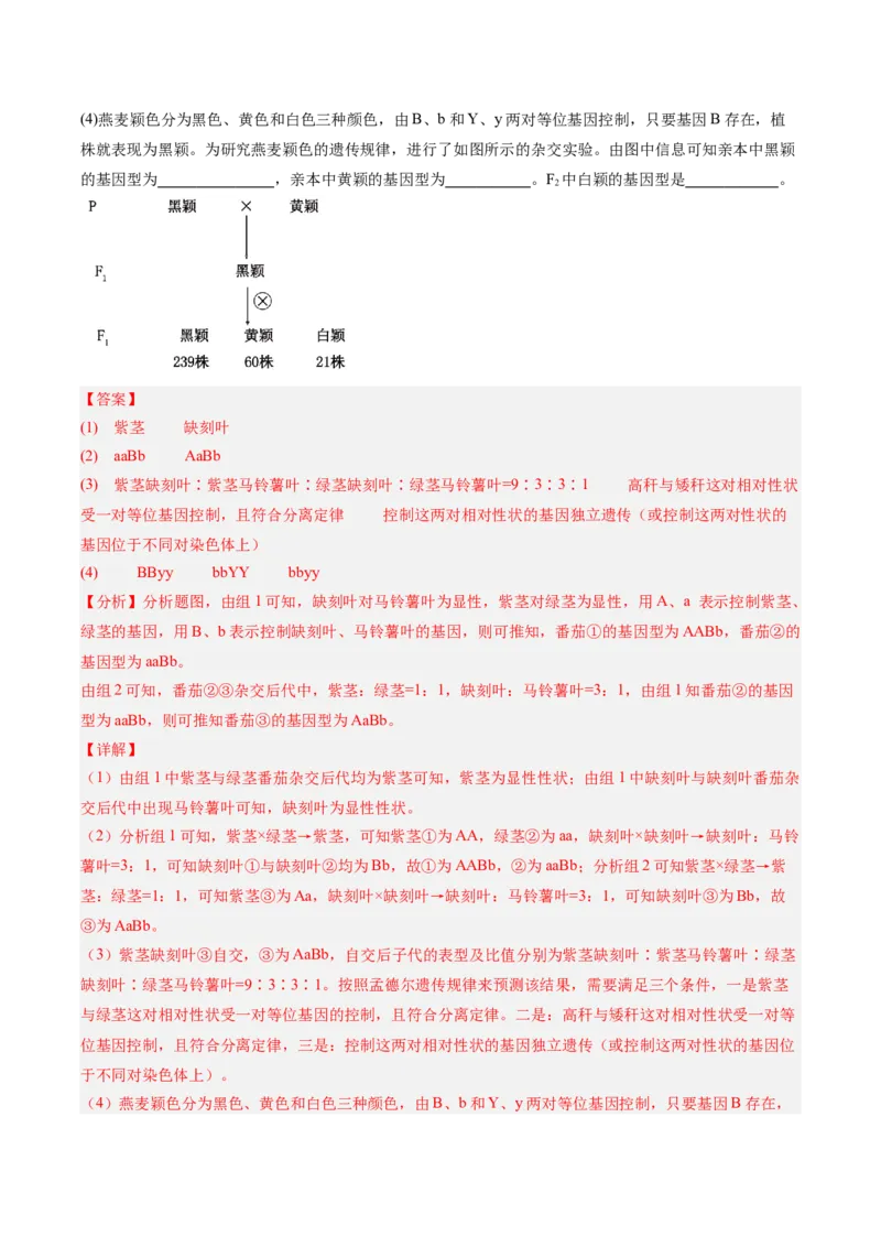 考点通关卷16基因的自由组合定律（解析版）_2025年新高考资料_一轮复习_2025年高考生物一轮复习考点通关卷（新高考通用）