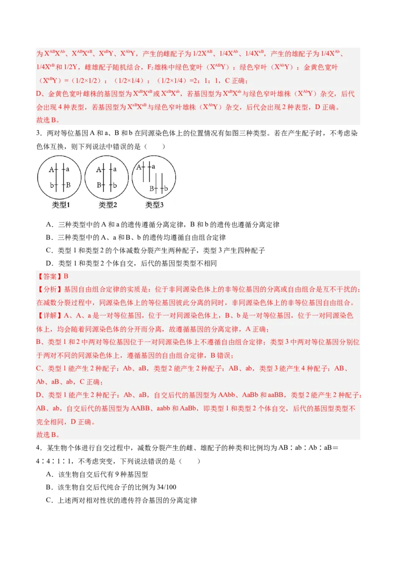 考点通关卷16基因的自由组合定律（解析版）_2025年新高考资料_一轮复习_2025年高考生物一轮复习考点通关卷（新高考通用）