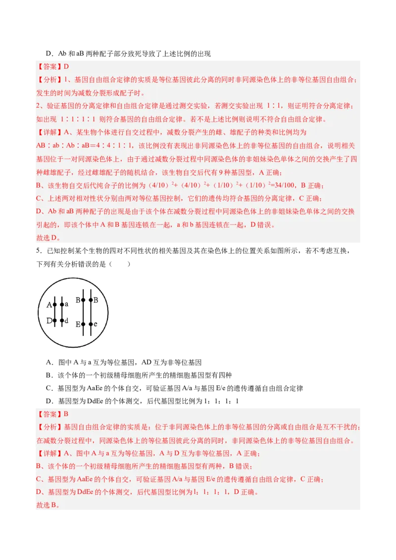 考点通关卷16基因的自由组合定律（解析版）_2025年新高考资料_一轮复习_2025年高考生物一轮复习考点通关卷（新高考通用）