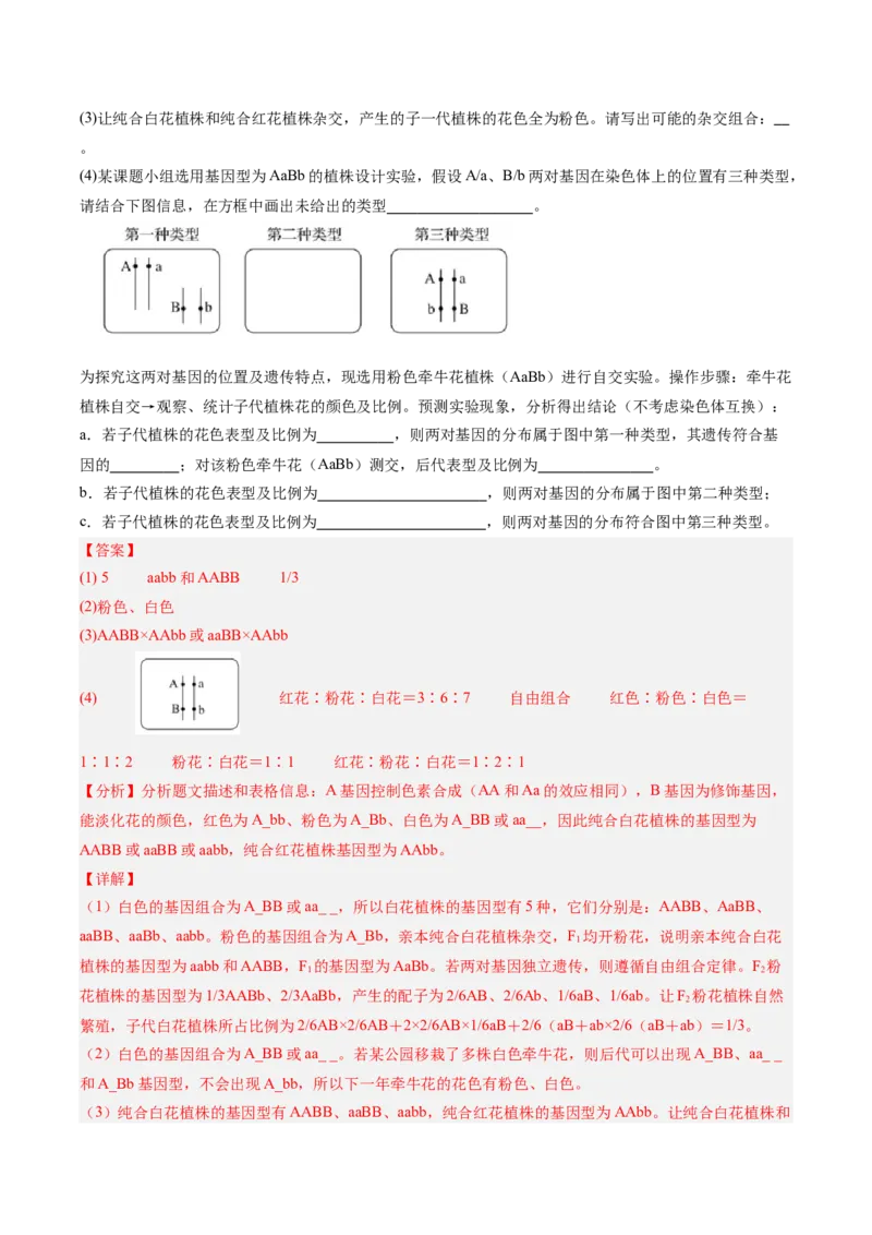 考点通关卷16基因的自由组合定律（解析版）_2025年新高考资料_一轮复习_2025年高考生物一轮复习考点通关卷（新高考通用）