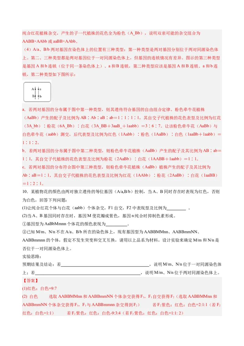 考点通关卷16基因的自由组合定律（解析版）_2025年新高考资料_一轮复习_2025年高考生物一轮复习考点通关卷（新高考通用）
