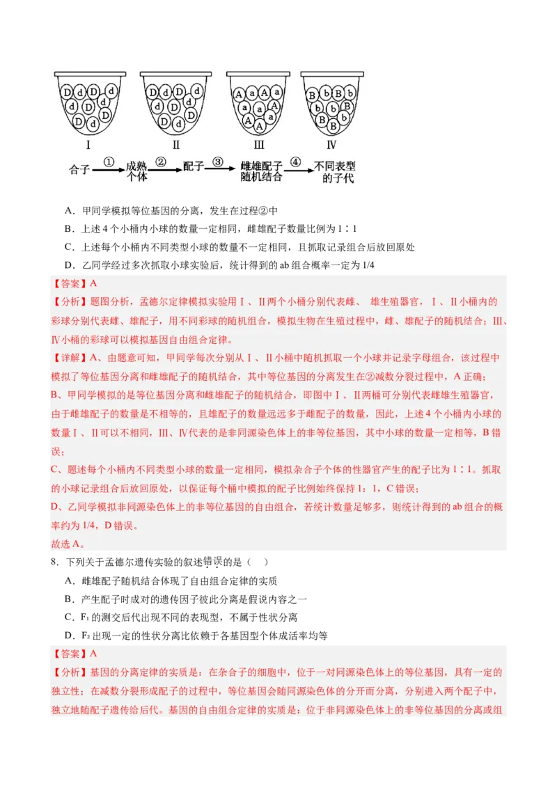 考点通关卷16基因的自由组合定律（解析版）_2025年新高考资料_一轮复习_2025年高考生物一轮复习考点通关卷（新高考通用）