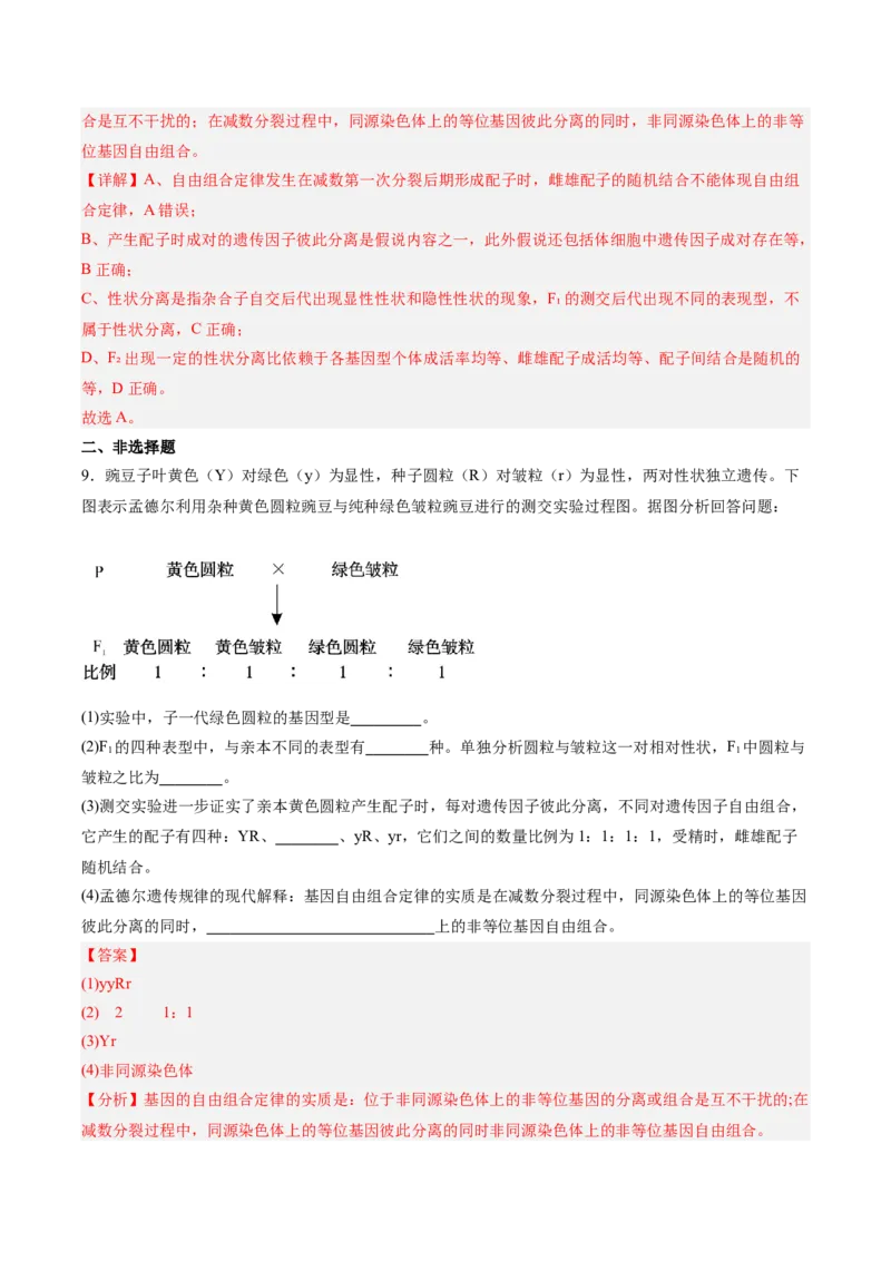 考点通关卷16基因的自由组合定律（解析版）_2025年新高考资料_一轮复习_2025年高考生物一轮复习考点通关卷（新高考通用）