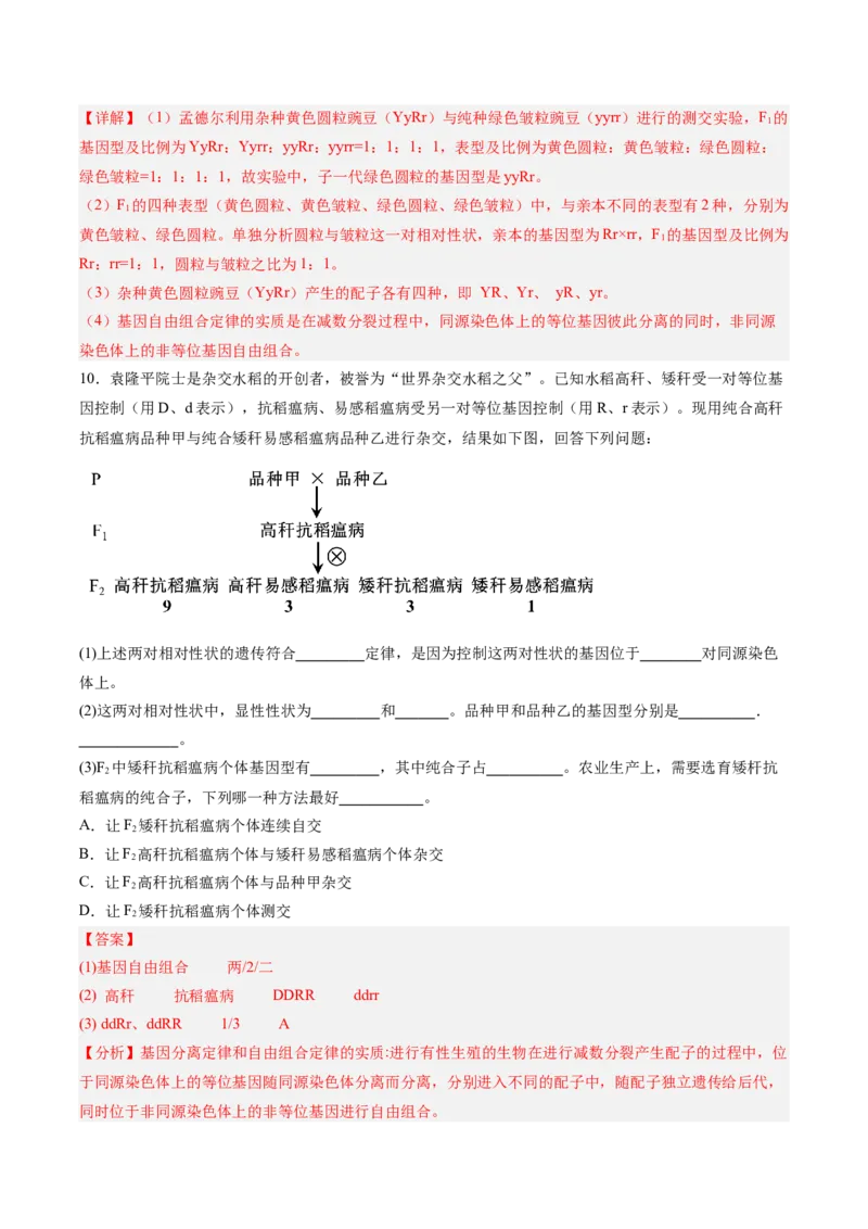 考点通关卷16基因的自由组合定律（解析版）_2025年新高考资料_一轮复习_2025年高考生物一轮复习考点通关卷（新高考通用）