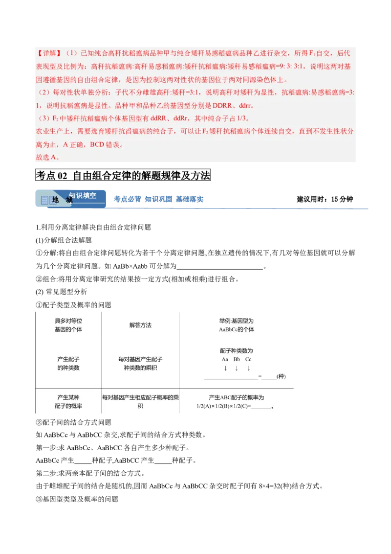 考点通关卷16基因的自由组合定律（解析版）_2025年新高考资料_一轮复习_2025年高考生物一轮复习考点通关卷（新高考通用）