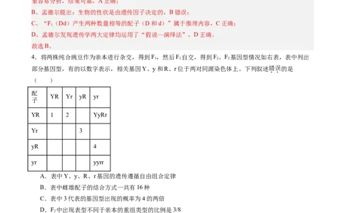 考点通关卷16基因的自由组合定律（解析版）_2025年新高考资料_一轮复习_2025年高考生物一轮复习考点通关卷（新高考通用）