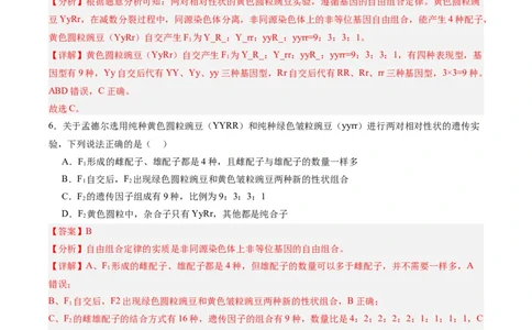 考点通关卷16基因的自由组合定律（解析版）_2025年新高考资料_一轮复习_2025年高考生物一轮复习考点通关卷（新高考通用）