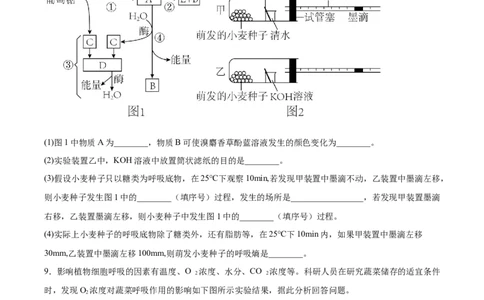 考点通关卷09细胞呼吸（原卷版）_新高考复习资料_2024年新高考复习资料_一轮复习资料_完2024年高考生物一轮复习考点通关卷（新高考）_考点通关卷09细胞呼吸
