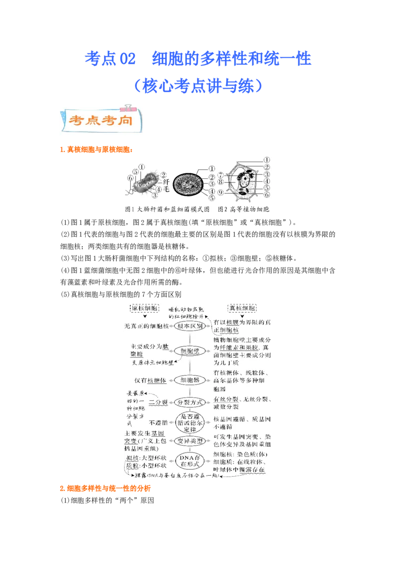 考点02细胞的多样性和统一性（解析版）_通用版（老高考）复习资料_2023年复习资料_一轮复习_2023年高考生物一轮复习讲练测（全国通用）