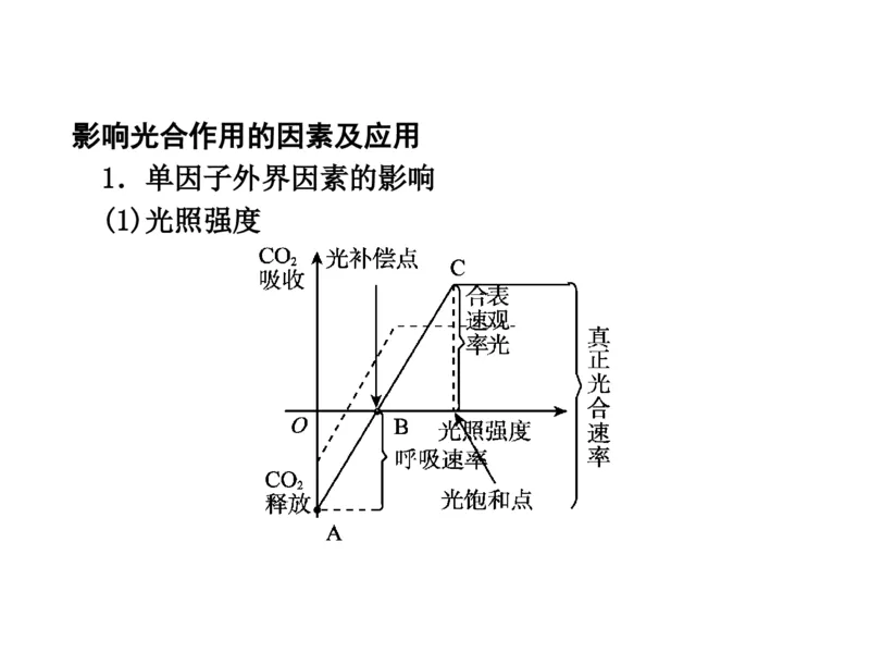 考点精讲6光合作用与能量转化（教案）_新高考复习资料_2022年新高考复习资料_2022届一轮复习讲练结合7.13更新_系列二_考点精讲6光合作用与能量转化