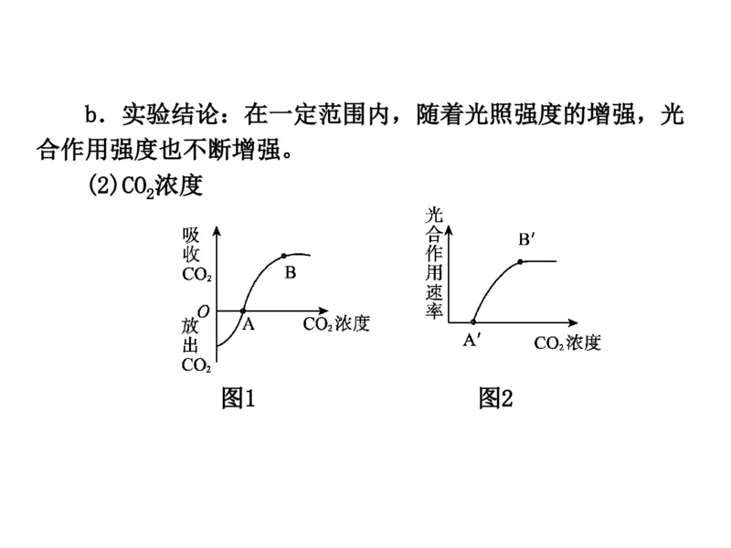 考点精讲6光合作用与能量转化（教案）_新高考复习资料_2022年新高考复习资料_2022届一轮复习讲练结合7.13更新_系列二_考点精讲6光合作用与能量转化