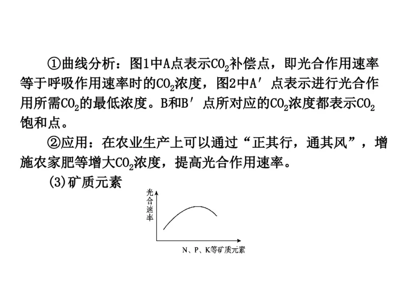 考点精讲6光合作用与能量转化（教案）_新高考复习资料_2022年新高考复习资料_2022届一轮复习讲练结合7.13更新_系列二_考点精讲6光合作用与能量转化