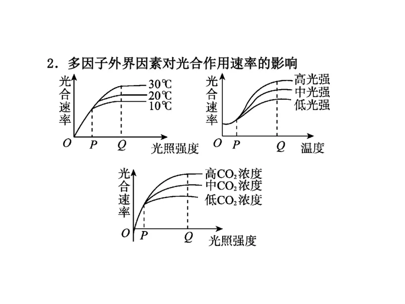 考点精讲6光合作用与能量转化（教案）_新高考复习资料_2022年新高考复习资料_2022届一轮复习讲练结合7.13更新_系列二_考点精讲6光合作用与能量转化