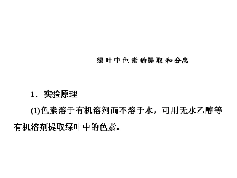 考点精讲6光合作用与能量转化（教案）_新高考复习资料_2022年新高考复习资料_2022届一轮复习讲练结合7.13更新_系列二_考点精讲6光合作用与能量转化