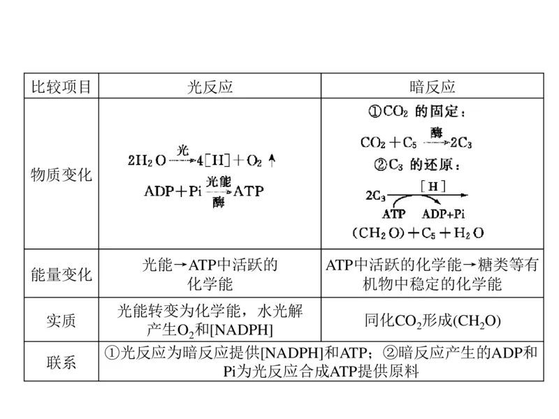 考点精讲6光合作用与能量转化（教案）_新高考复习资料_2022年新高考复习资料_2022届一轮复习讲练结合7.13更新_系列二_考点精讲6光合作用与能量转化