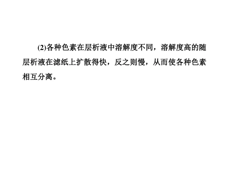 考点精讲6光合作用与能量转化（教案）_新高考复习资料_2022年新高考复习资料_2022届一轮复习讲练结合7.13更新_系列二_考点精讲6光合作用与能量转化