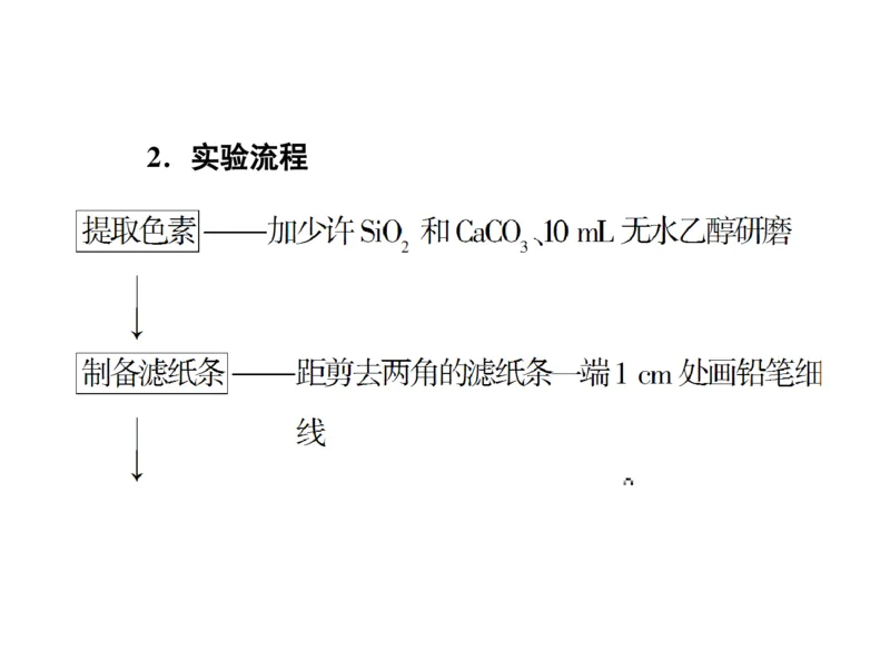 考点精讲6光合作用与能量转化（教案）_新高考复习资料_2022年新高考复习资料_2022届一轮复习讲练结合7.13更新_系列二_考点精讲6光合作用与能量转化