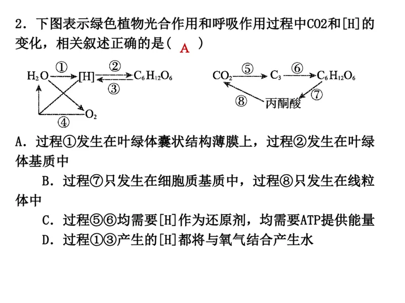 考点精讲6光合作用与能量转化（教案）_新高考复习资料_2022年新高考复习资料_2022届一轮复习讲练结合7.13更新_系列二_考点精讲6光合作用与能量转化