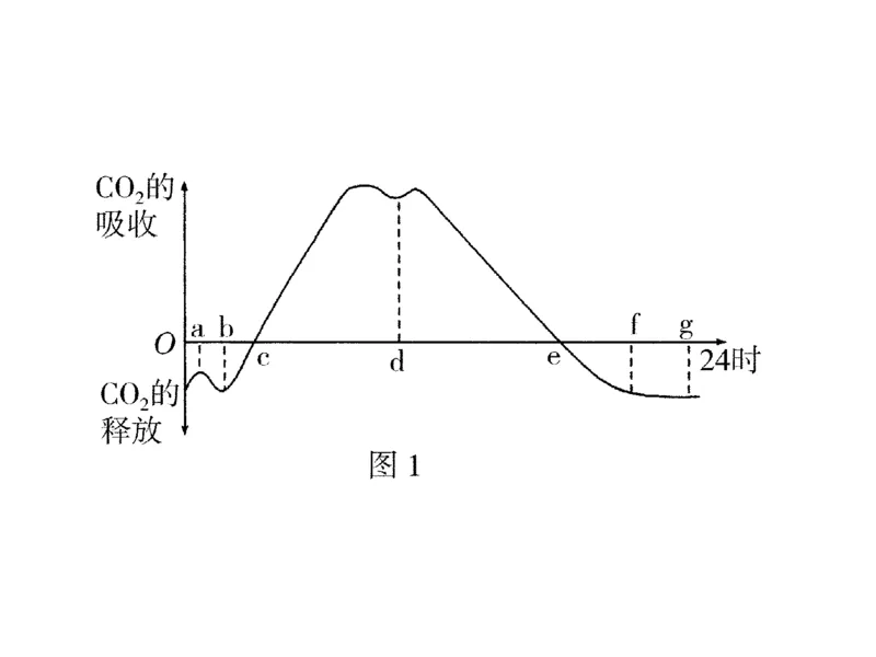 考点精讲6光合作用与能量转化（教案）_新高考复习资料_2022年新高考复习资料_2022届一轮复习讲练结合7.13更新_系列二_考点精讲6光合作用与能量转化