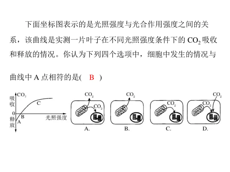 考点精讲6光合作用与能量转化（教案）_新高考复习资料_2022年新高考复习资料_2022届一轮复习讲练结合7.13更新_系列二_考点精讲6光合作用与能量转化