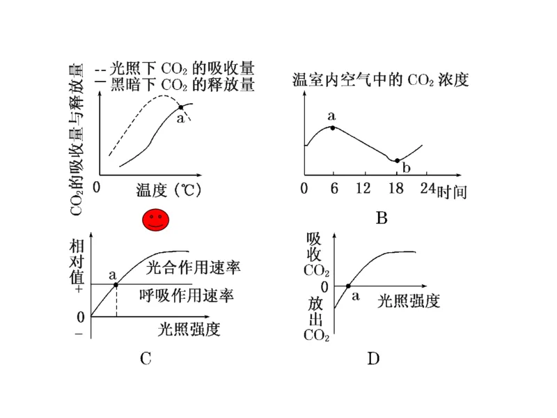 考点精讲6光合作用与能量转化（教案）_新高考复习资料_2022年新高考复习资料_2022届一轮复习讲练结合7.13更新_系列二_考点精讲6光合作用与能量转化