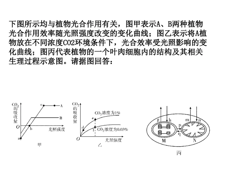 考点精讲6光合作用与能量转化（教案）_新高考复习资料_2022年新高考复习资料_2022届一轮复习讲练结合7.13更新_系列二_考点精讲6光合作用与能量转化