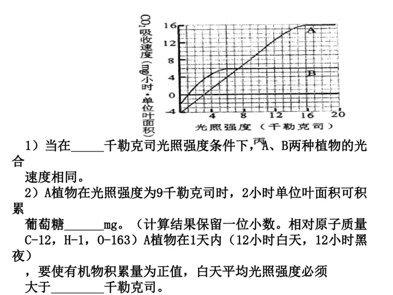 考点精讲6光合作用与能量转化（教案）_新高考复习资料_2022年新高考复习资料_2022届一轮复习讲练结合7.13更新_系列二_考点精讲6光合作用与能量转化