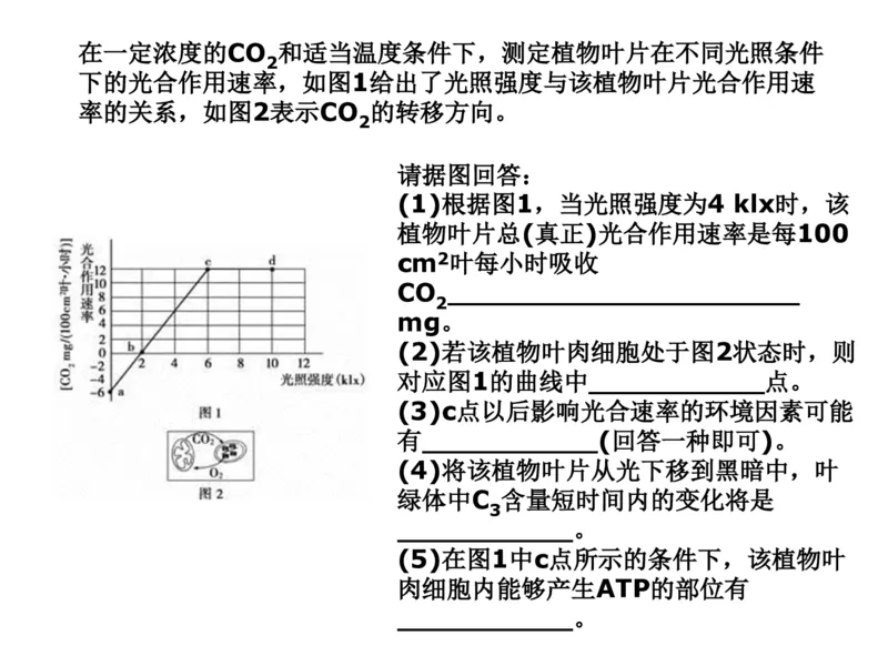 考点精讲6光合作用与能量转化（教案）_新高考复习资料_2022年新高考复习资料_2022届一轮复习讲练结合7.13更新_系列二_考点精讲6光合作用与能量转化