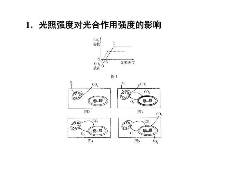 考点精讲6光合作用与能量转化（教案）_新高考复习资料_2022年新高考复习资料_2022届一轮复习讲练结合7.13更新_系列二_考点精讲6光合作用与能量转化