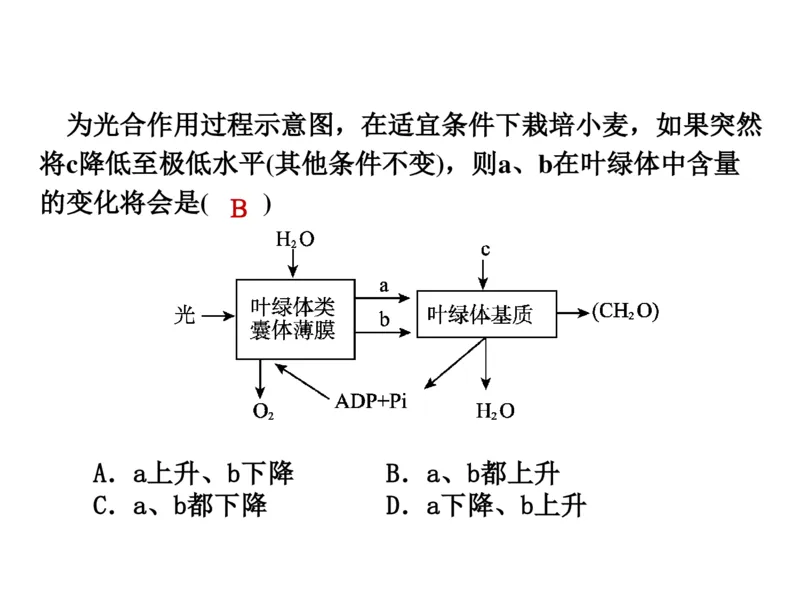 考点精讲6光合作用与能量转化（教案）_新高考复习资料_2022年新高考复习资料_2022届一轮复习讲练结合7.13更新_系列二_考点精讲6光合作用与能量转化