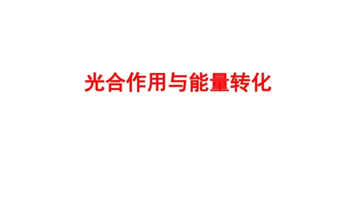 考点精讲6光合作用与能量转化（教案）_新高考复习资料_2022年新高考复习资料_2022届一轮复习讲练结合7.13更新_系列二_考点精讲6光合作用与能量转化
