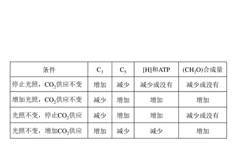 考点精讲6光合作用与能量转化（教案）_新高考复习资料_2022年新高考复习资料_2022届一轮复习讲练结合7.13更新_系列二_考点精讲6光合作用与能量转化