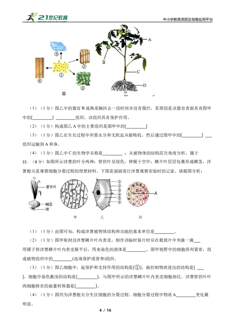 人教版2023届中考一轮复习专用训练卷&mdash;专题4细胞怎样构成生物体（含解析）_6生物中考复习_2023年中考复习资料_一轮复习_人教版2023届中考生物一轮复习专用训练卷