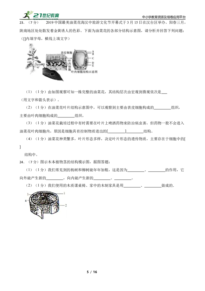 人教版2023届中考一轮复习专用训练卷&mdash;专题4细胞怎样构成生物体（含解析）_6生物中考复习_2023年中考复习资料_一轮复习_人教版2023届中考生物一轮复习专用训练卷