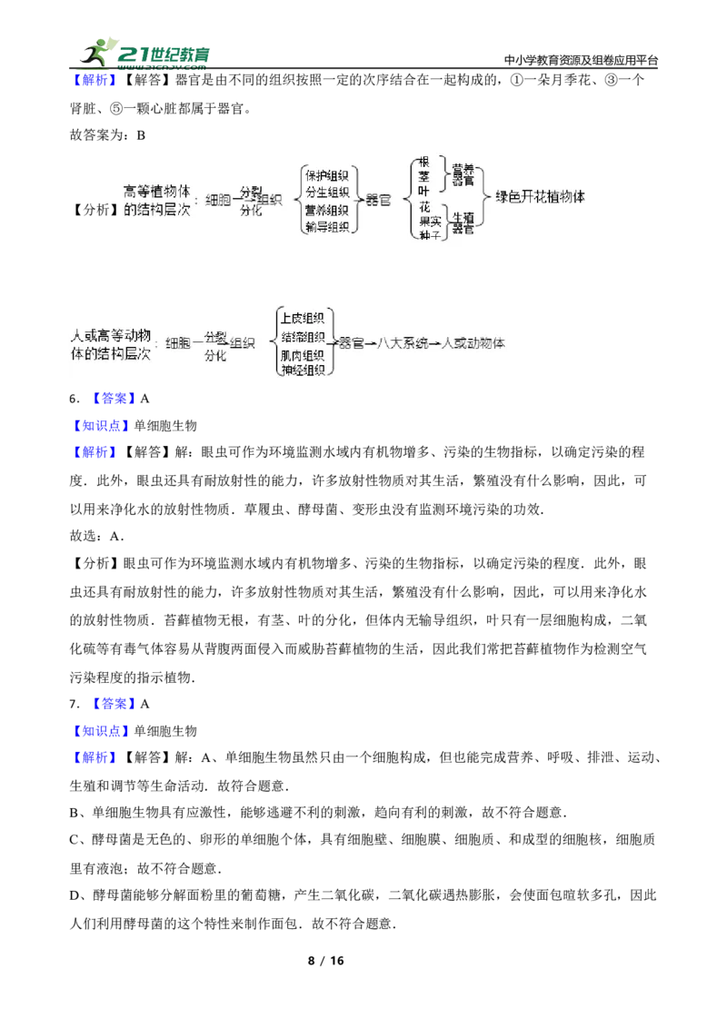 人教版2023届中考一轮复习专用训练卷&mdash;专题4细胞怎样构成生物体（含解析）_6生物中考复习_2023年中考复习资料_一轮复习_人教版2023届中考生物一轮复习专用训练卷