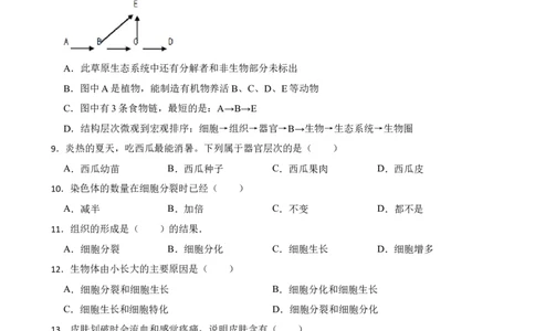 人教版2023届中考一轮复习专用训练卷&mdash;专题4细胞怎样构成生物体（含解析）_6生物中考复习_2023年中考复习资料_一轮复习_人教版2023届中考生物一轮复习专用训练卷