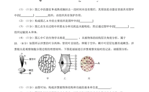 人教版2023届中考一轮复习专用训练卷&mdash;专题4细胞怎样构成生物体（含解析）_6生物中考复习_2023年中考复习资料_一轮复习_人教版2023届中考生物一轮复习专用训练卷