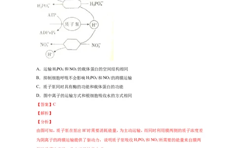 考点精讲3细胞的结构和功能及物质运输（作业）_新高考复习资料_2022年新高考复习资料_2022届一轮复习讲练结合7.13更新_系列二_考点精讲3细胞的结构和功能及物质运输